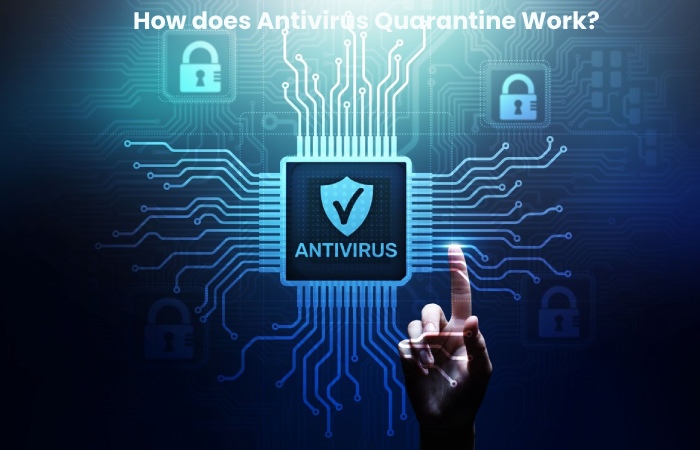 How does Antivirus Quarantine Work_ -Software work, viruses, and More