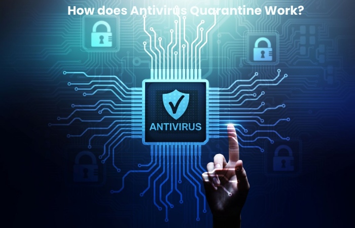 How does Antivirus Quarantine Work_ -Software work, viruses, and More