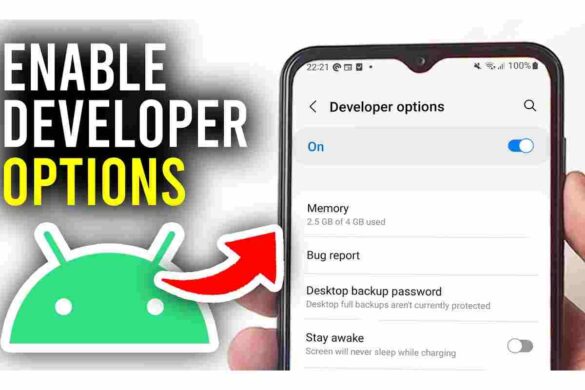 How to Pair kimfly_ - Developer Options and More