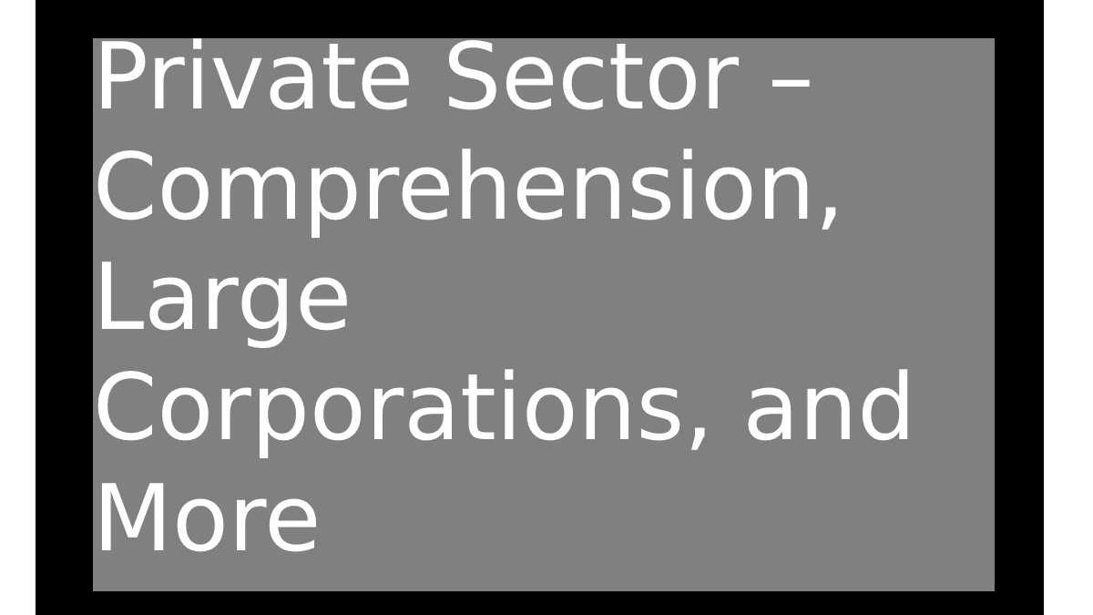 Private Sector – Comprehension, Large Corporations, and More