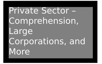private sector