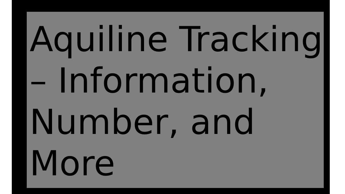 Aquiline Tracking – Information, Number, and More