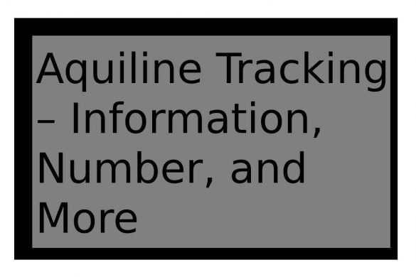 aquiline tracking