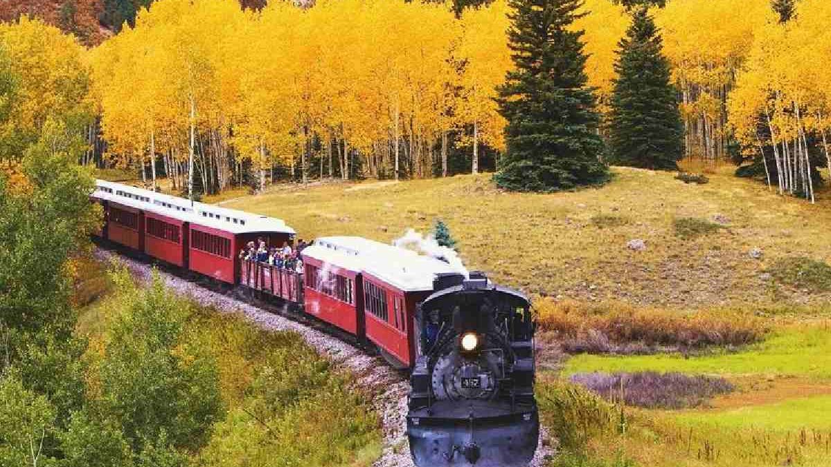 All Inclusive Visita Guidata Privata Alle Pianure Di Horton Con Un Breve Viaggio In Treno