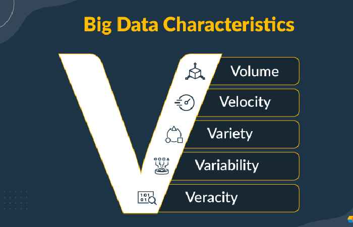 What are the features of Big Data_