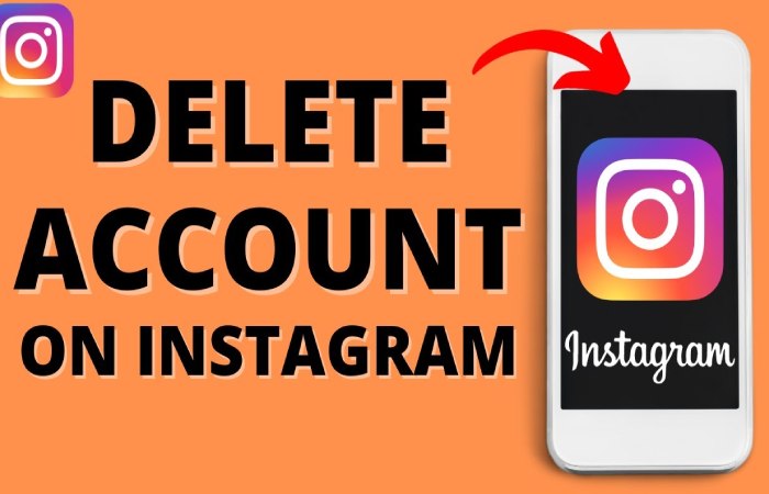 How to Delete_Remove the ImgInn Account