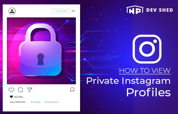 How to View Private Instagram Profile?