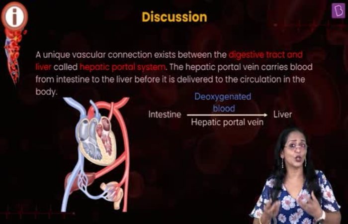 Hepatodigestive tract and the diseases resulting from them Use of pinaverium bromide to prevent proliferative phenomena of the cells.