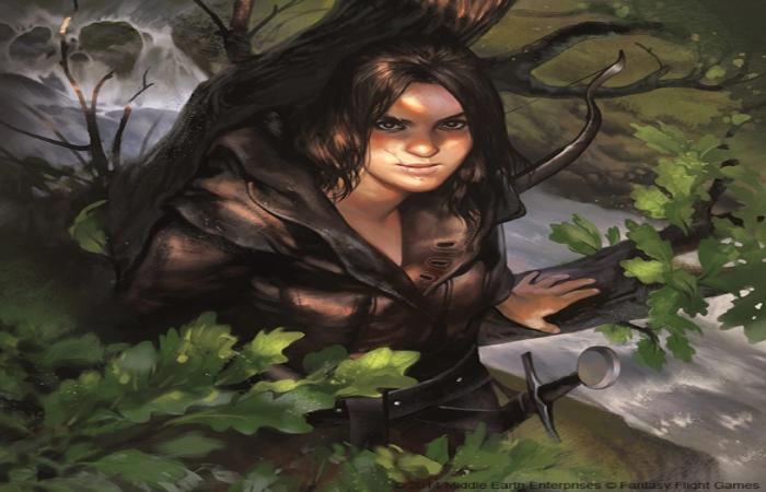 A Bachelor Hunters Encounter In The Elven Forest - FAQs