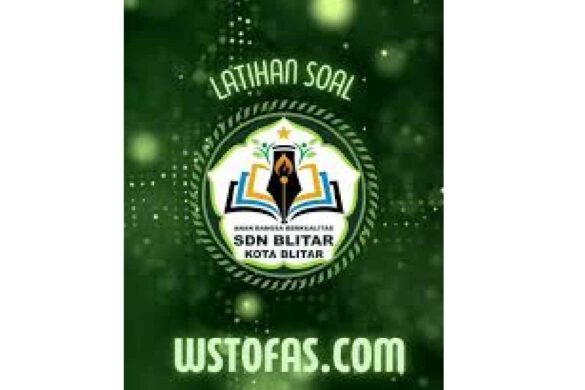 wstofas.com