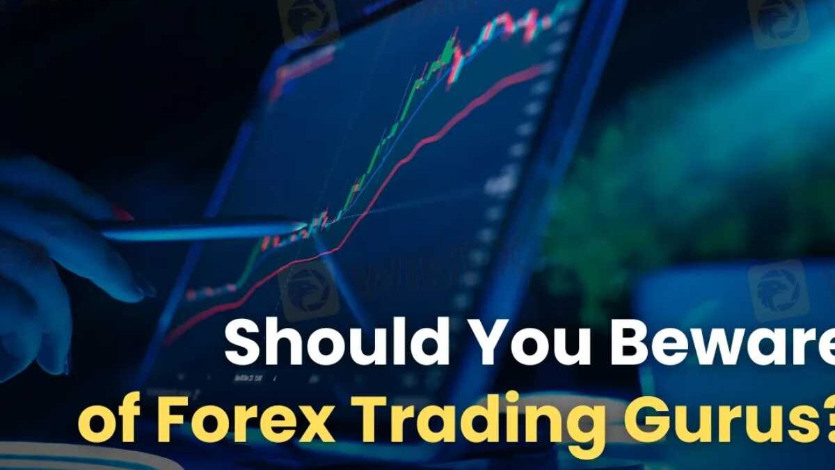 Forex Trading Gurus –  George Soros and More