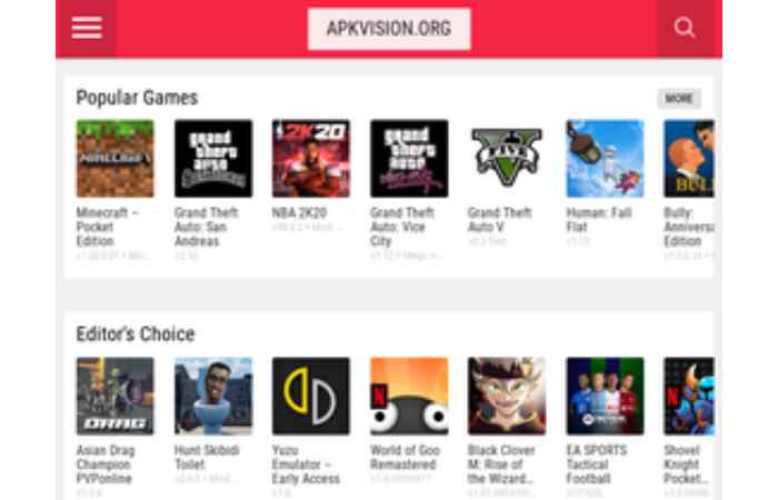what is apk vision.com