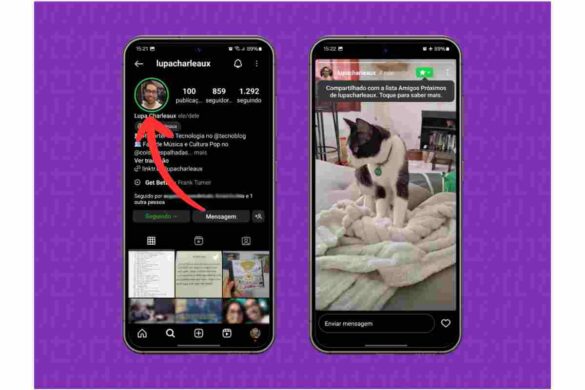 story instagram anônimo
